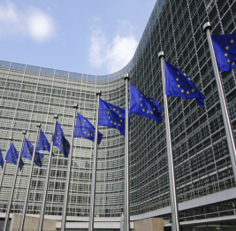 Еврокомиссия призвала отменить погранконтроль внутри ЕС