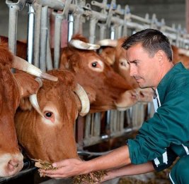 Новая госпрограмма положит конец запрета на экспорт продукции животного происхождения