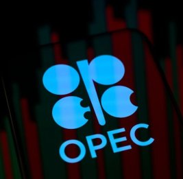 
Страны ОПЕК приняли решение