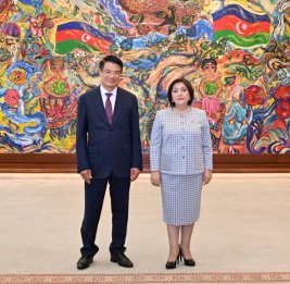 Председатель Милли Меджлиса пригласила Вьетнам к активному участию в Парламентской сети Движения неприсоединения