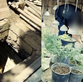 В Баку выявили подземный бункер, где выращивали коноплю