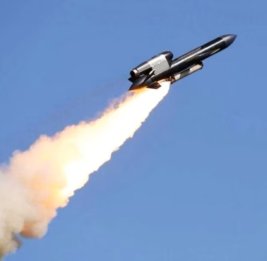 
Силы обороны Украины ударили ракетами &laquo;Фламинго&raquo; по военному заводу РФ
