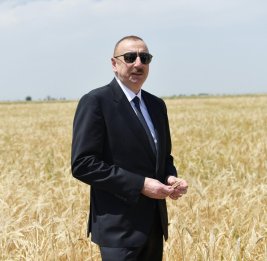 С любовью к ЗЕМЛЕ-КОРМИЛИЦЕ 