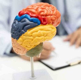 Исследование: наш мозг может решать две сложные задачи одновременно