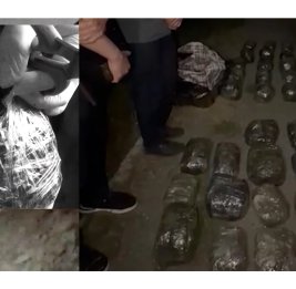 
В Низаминском районе у наркокурьера изъяли до 30 кг марихуаны