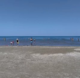 Каспий для всех 
