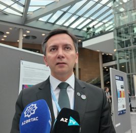 Ялчин Рафиев: Проведение в Бонне мероприятия, посвященного снижению уровня Каспия, очень значимо