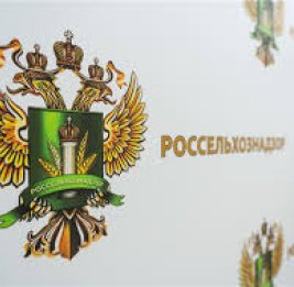 Москва отвечает Иревану