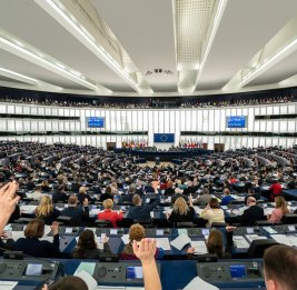 У Европы появился свой любимый вор? 