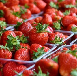 Грузия опровергла транзит армянской сельхозпродукции в Россию