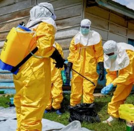 
Число заразившихся Эболой в В ДР Конго превысило 950