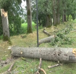 
В Загатальском районе сильный ветер нанес ущерб нескольким селам