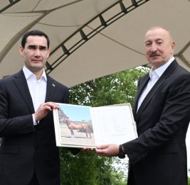 
Президенту Туркменистана преподнесен в дар карабахский скакун