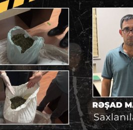 Неожиданная находка в исмаиллинском лесу