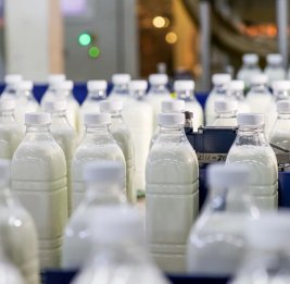 
Ульяновская область нарастила поставки молочной продукции в Азербайджан