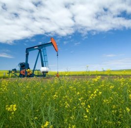
На мировых биржах цены на нефть упали