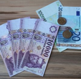 
Большинство венгров поддерживает переход на евро