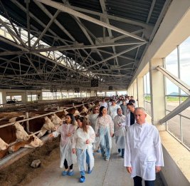В Ходжалы создается новый центр племенного животноводства 