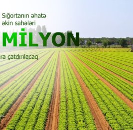 Сфера действия механизма аграрного страхования будет расширяться