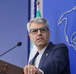 Тегеран прокомментировал прошедший визит спикера парламента Ирана в Баку