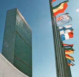 
ООН изменила существовавшее 75 лет финансовое правило, чтобы избежать кризиса ликвидности