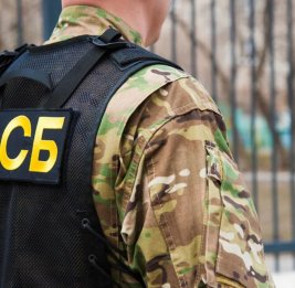 
В порту Санкт-Петербурга в тушах тунца нашли 500 кг кокаина