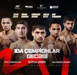 
В Баку пройдет вечер чемпионов по боксу