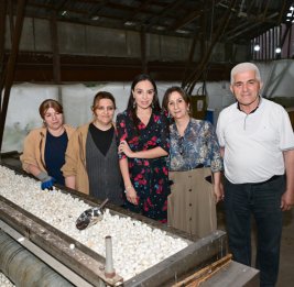 
Лейла Алиева ознакомилась с деятельностью ОАО &laquo;Азерипек&raquo;