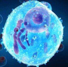 
Как живая: ученые создали синтетическую клетку