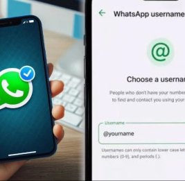 
Мошенники уже начали захватывать чужие имена пользователей в WhatsApp