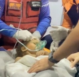 Чудо в Венесуэле: двухлетнего ребенка вытащили живым из-под завалов спустя шесть дней