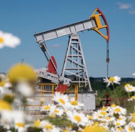 
Цены на нефть на мировых биржах повысились