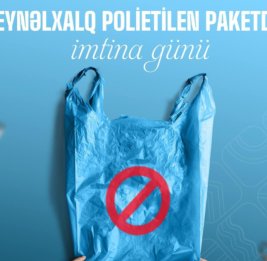 
Сегодня отмечается Международный день отказа от полиэтиленовых пакетов