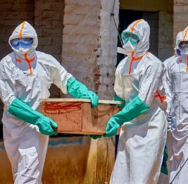 
Число смертей в ДР Конго от лихорадки Эбола продолжает расти