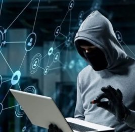 
В июне число информресурсов с уязвимостями сократилось в 4,5 раза