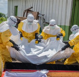 Число погибших от лихорадки Эбола в ДР Конго превысило 490
