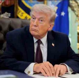 Трамп встретится в Турции с Зеленским и аш-Шараа