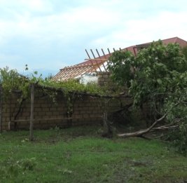 Сильный ветер привел к последствиям в Гахе и Загатале