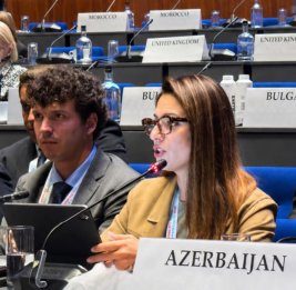 Политика кибербезопасности Азербайджана доведена до сведения ПА ОБСЕ