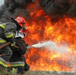 
На территории заповедника в Нефтчалинском районе произошел пожар