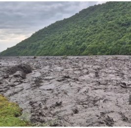 В Балакяне мужчину унесло селевым потоком