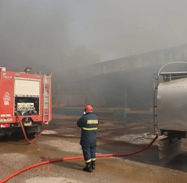 
В Греции крупный пожар уничтожил завод автозапчастей, 11 человек пострадали