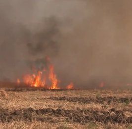 
МЧС Азербайджана напомнило о запрете открытого огня на зерновых полях