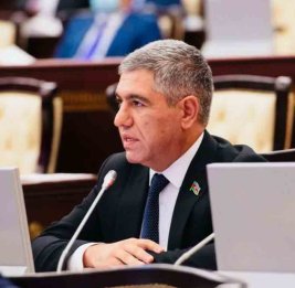 В Милли Меджлисе привели Нидерланды в пример азербайджанским фермерам