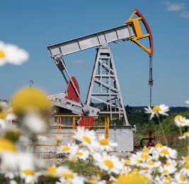 
Цены на нефть повысились