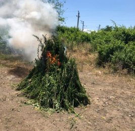 Своевременная операция