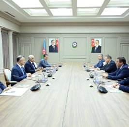 Премьер-министр Али Асадов встретился с министром здравоохранения России