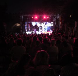 Shahin Novrasli Festival-2026: Впечатления иностранных артистов