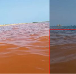 В бакинском поселке море окрасилось в коричневый цвет