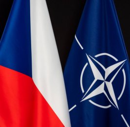 
Большинство чехов недовольно расколом на саммите НАТО